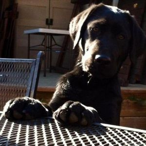 Meet your Posher, Joanne